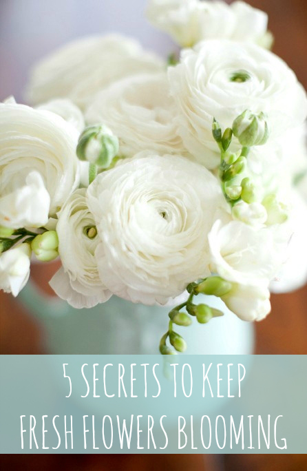 5 Secrets to Keep Fresh Flowers Blooming